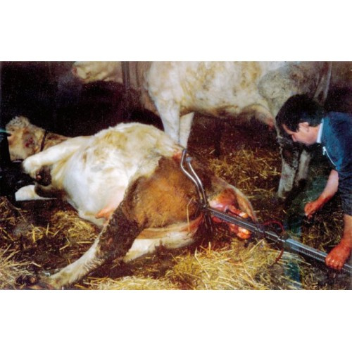 Уред за разраждане на крави VINK -за месодайни крави / алтернативни движения/ (снимка)