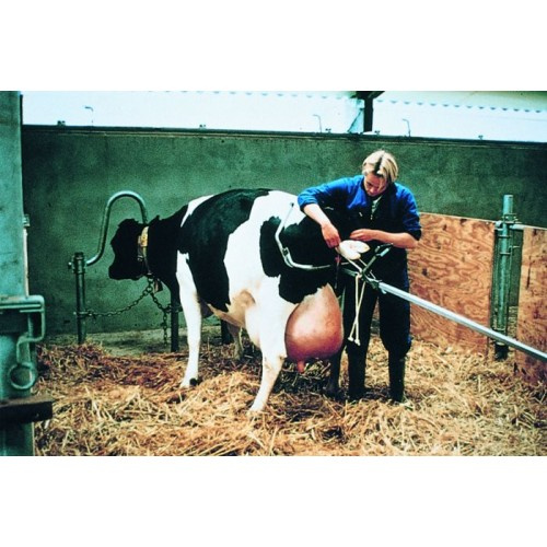 Уред за разраждане на крави VINK -за млечни крави /алтернативни движения/ (снимка)